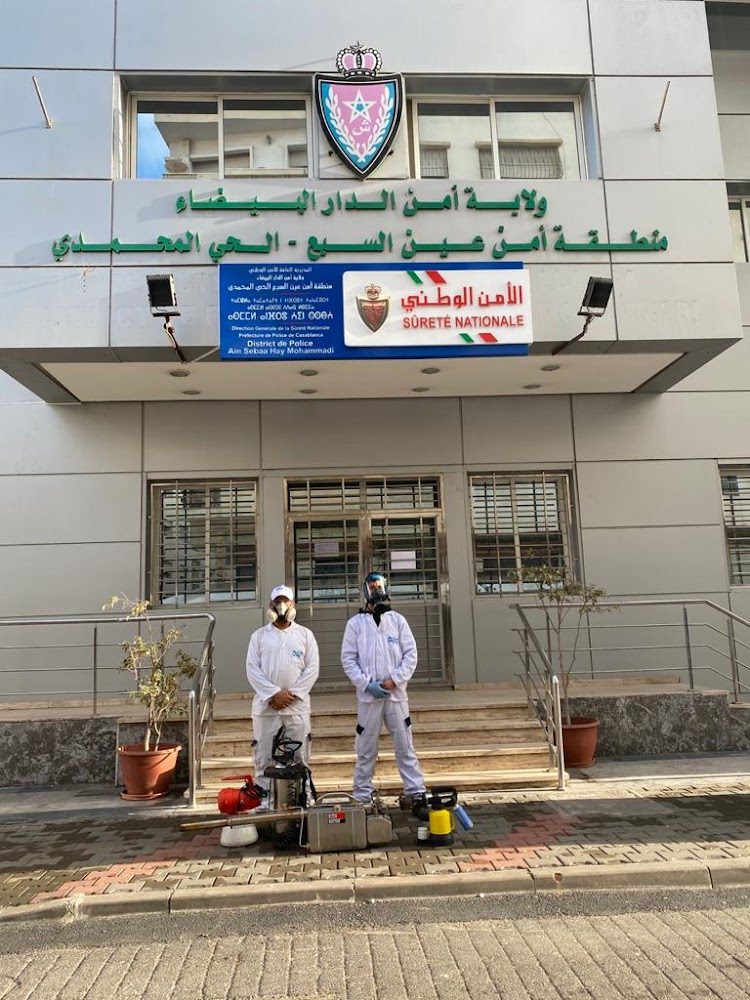 Dératisation | services SBS BELAKHDIM - Casablanca