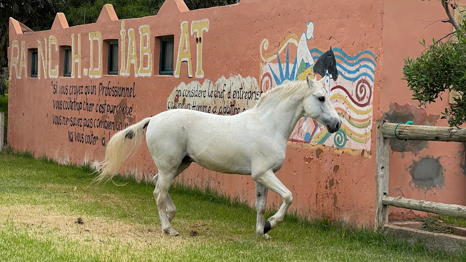 Ranch de Diabat - Diabat