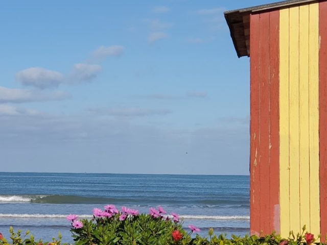 Agence Immobilière A Frais Reduits - El Jadida - +212 623-363787
