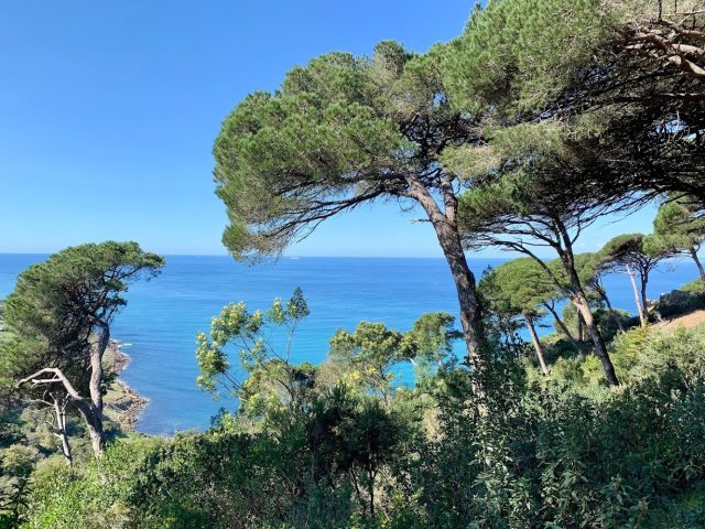 Parc Perdicaris - Tanger -