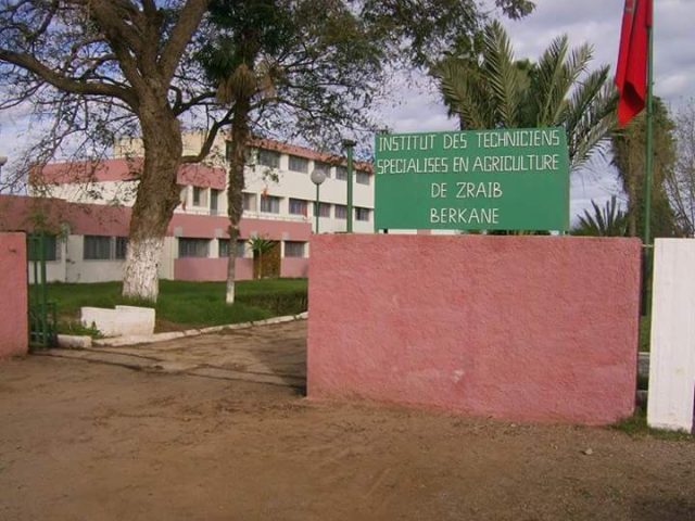 Institut Technique Agricole De Zraib - Berkane - +212 5366-45646