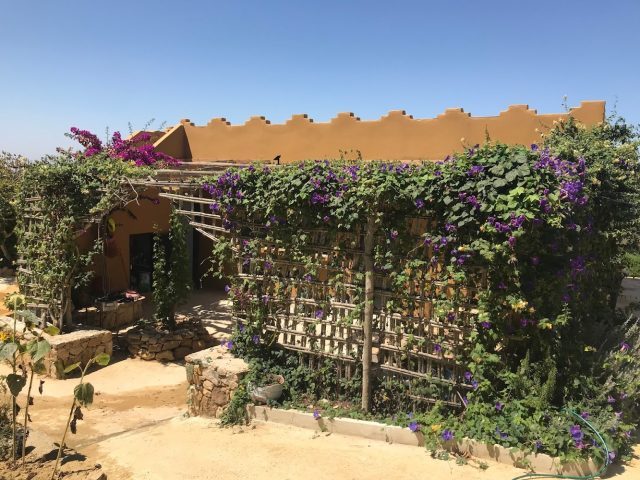 Dar Terremer -  - +212 610-925044