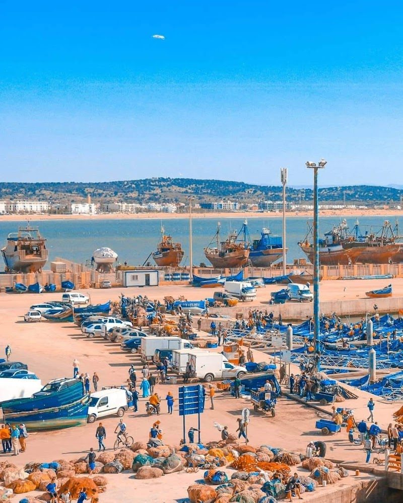 Business Agency Essaouira - Essaouira