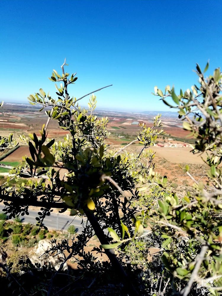 Commune Iqaddar - El-Hajeb