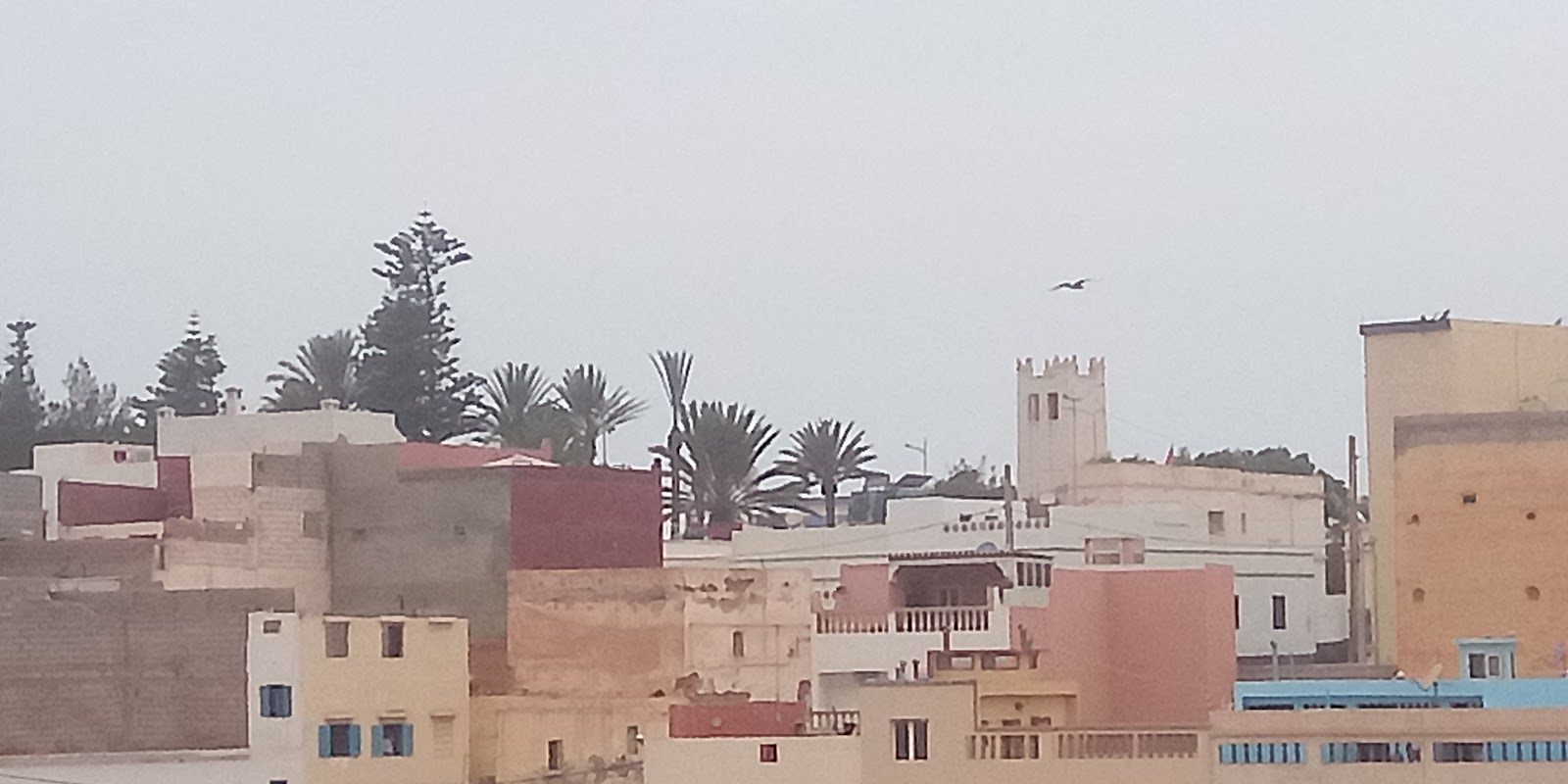 Xanadu guesthouse Sidi Ifni - Sidi Ifni