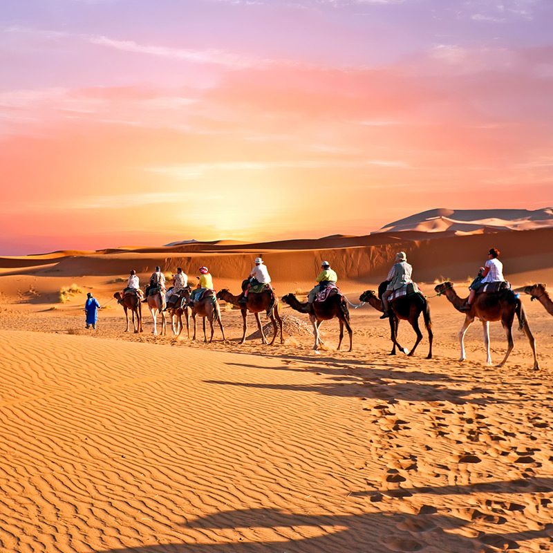 Shems Travel & Events - Casablanca