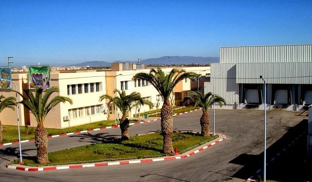 COLAIMO - Coopérative Laitière Maroc Oriental - Oujda - +212 5367-40366