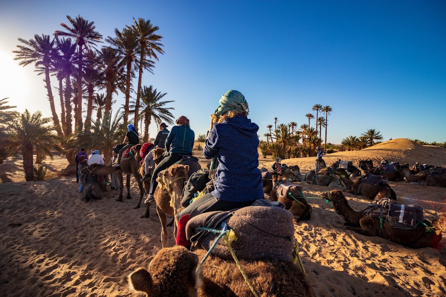 Pure Morocco Trips - Fès