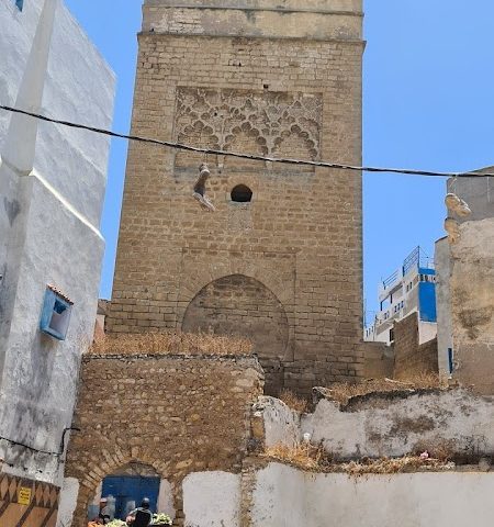 Cathédrale portugaise - Safi -