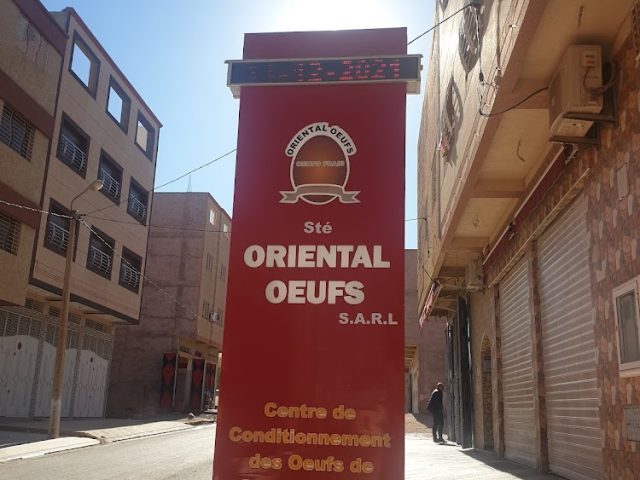 STE ORIENTAL OEUFS - Oujda - +212 5365-01821