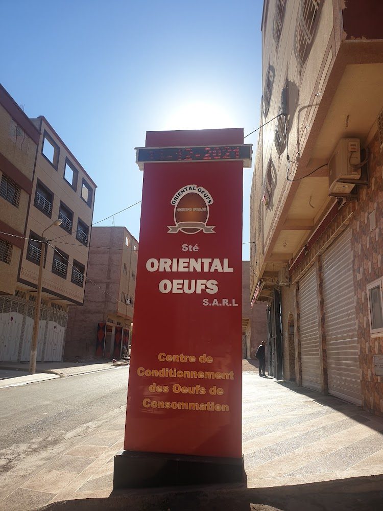 STE ORIENTAL OEUFS - Oujda