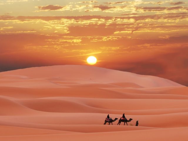 Desert Day Tours - Fès - +212 668-078887