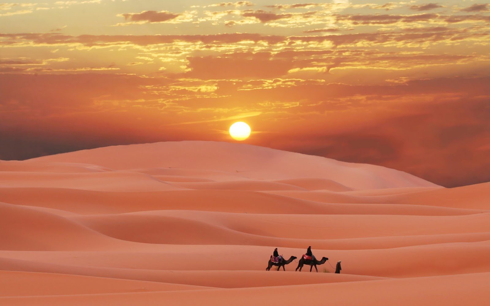 Desert Day Tours - Fès