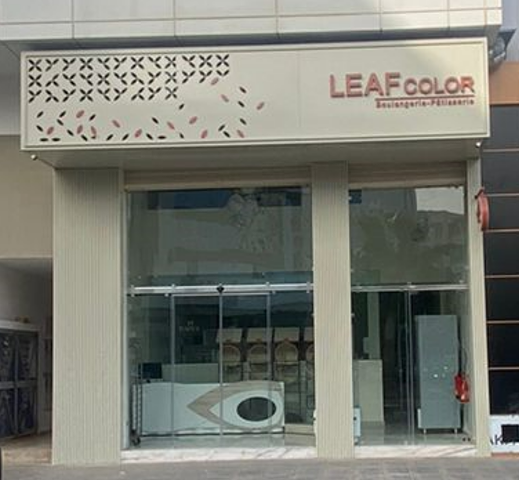 Leaf Color - Agadir - +212 5282-22245