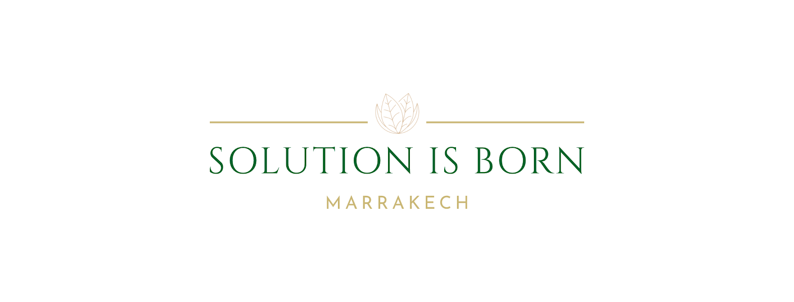 Solution is Born -