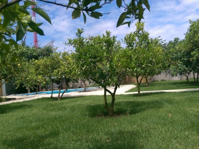 Oulja Gardens - Rabat -