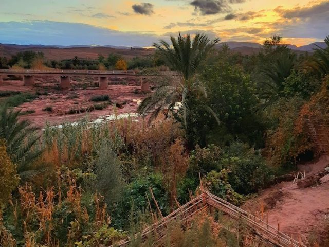 Café tifoltote - Ouarzazate - +212 697-037961