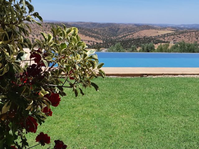 La perdrix - Khemisset -