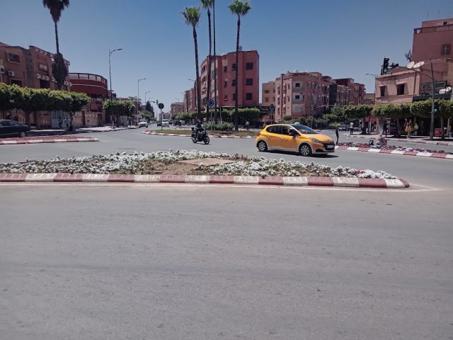 Coffee roses - Béni Mellal -