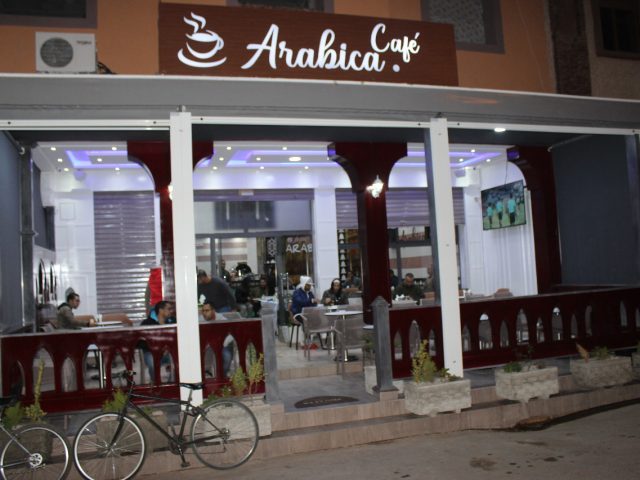 Café Arabica - Oulad Teima - +212 669-779988