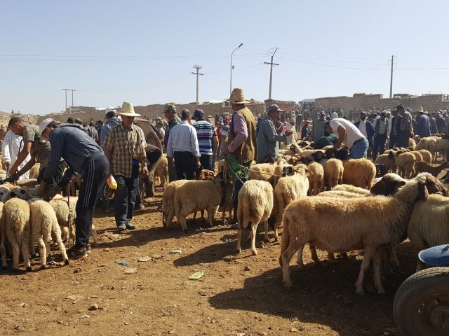 سوق المحلي - Azrou -
