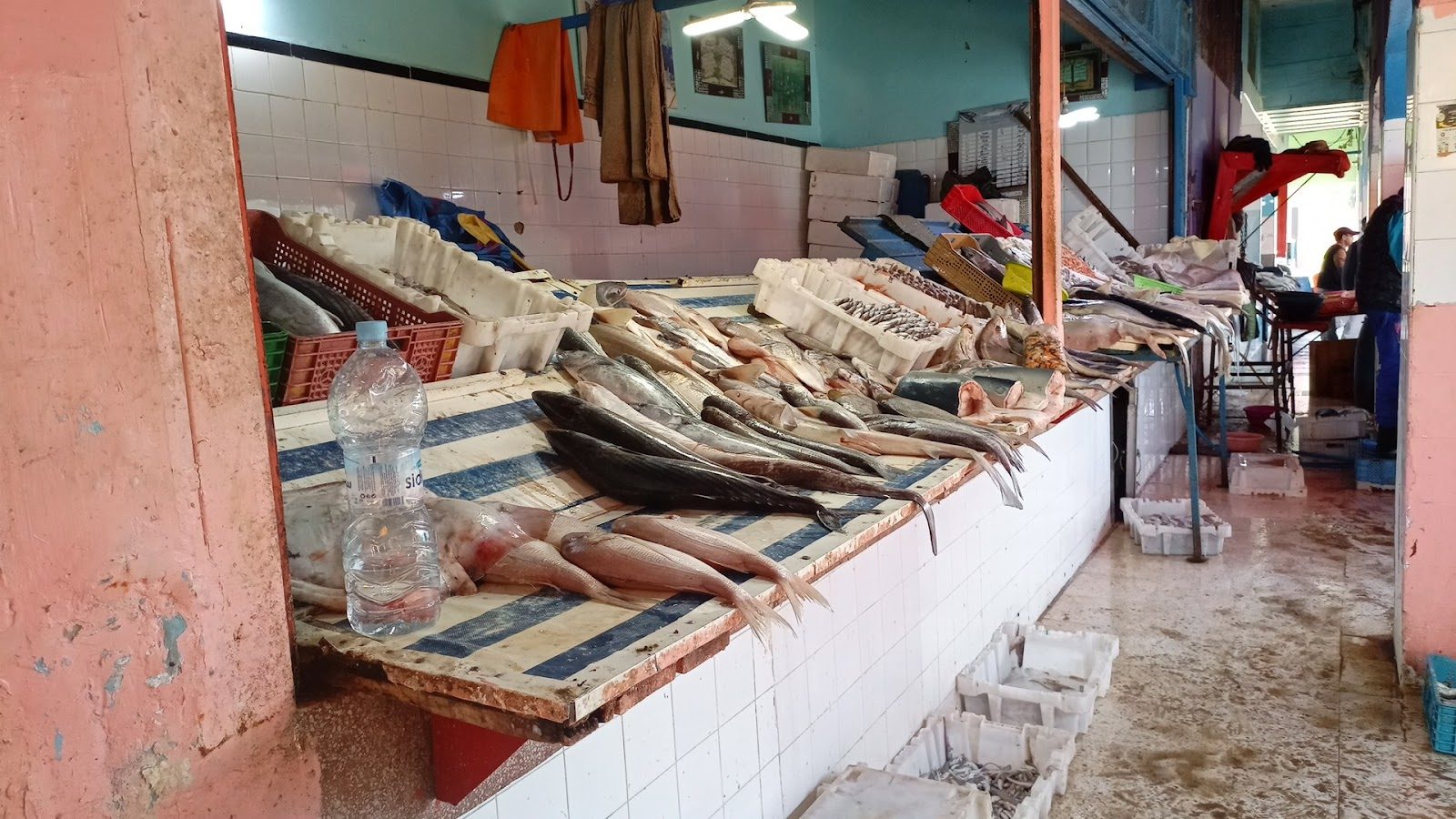Marché El massira - Berrchid