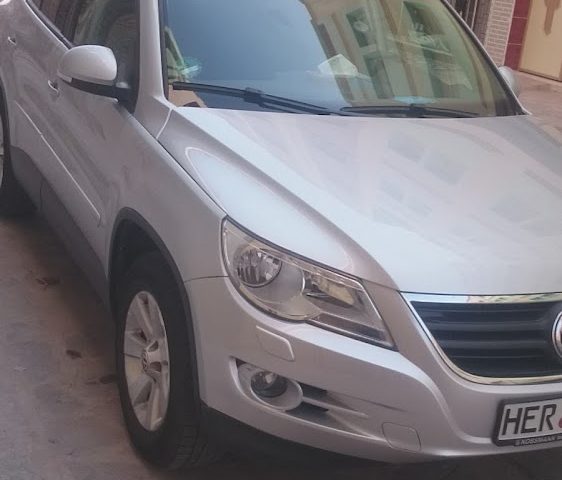 مخبزة وحلويات الشباب - Nador - +212 601-667298