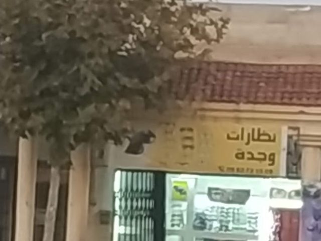 Lunette oujda - Jerada -