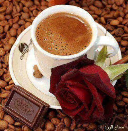 Café Sahra 24/24 - Sefrou -
