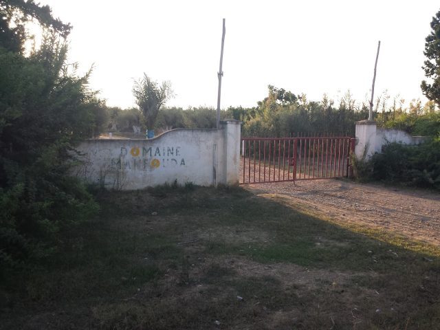 DOMAINE MAHFOUDA - Mechra Bel Ksiri - +212 5375-99098