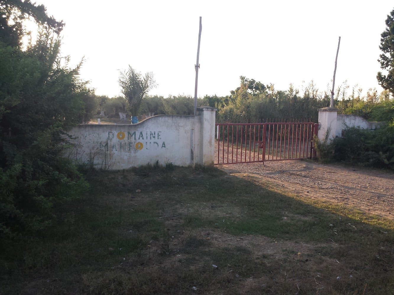 DOMAINE MAHFOUDA - Mechra Bel Ksiri