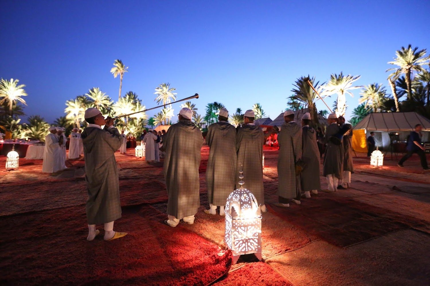 Palmgrove Evening with Activ'Travel - Marrakech