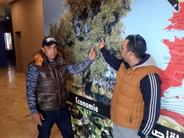 Droguerie Alami - Sidi Kacem - +212 654-563177