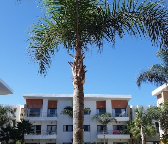 Centre d'estivage Banque Populaire à Bouznika. - Bouznika - +212 5290-35612