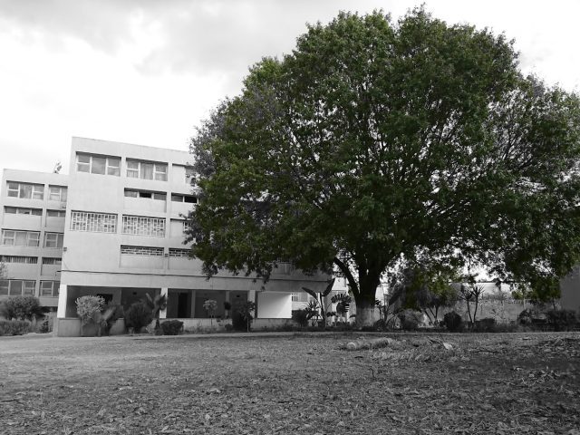 Regional Center for the professions of education and training branch of Sidi Kacem - Sidi Kacem -