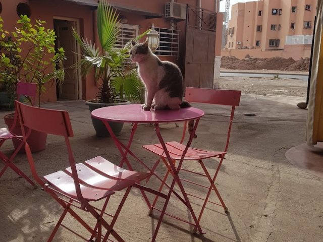 Patisserie Mirgon - Marrakech - +212 5244-47830