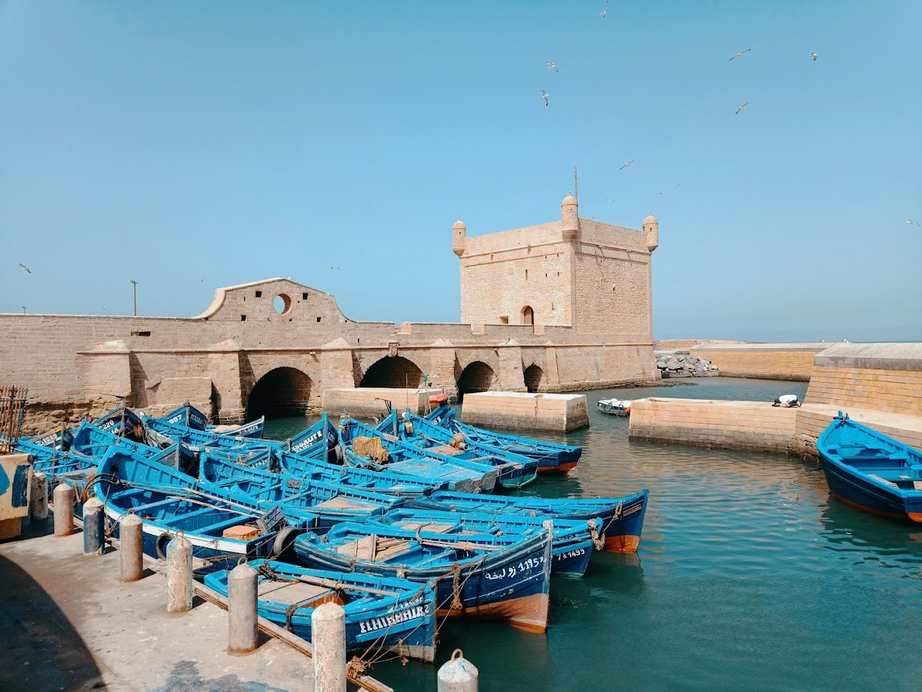 Port d'Essaouira - Essaouira