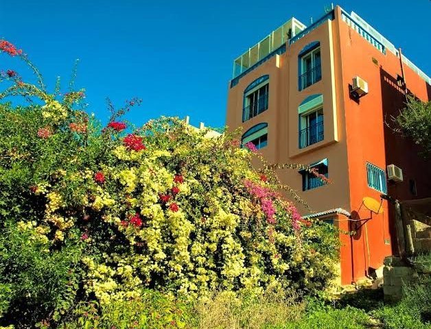 Surf Paradise Morocco - tamraght Ou Fella - +212 659-735995