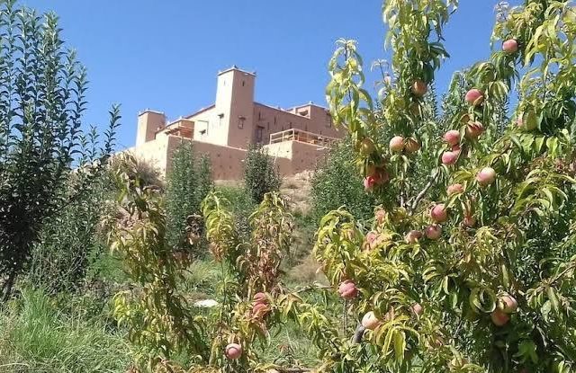 kasbah izoran - Midelt