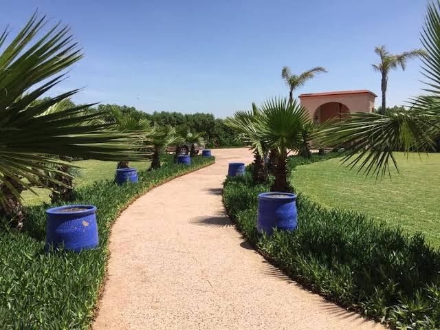 Dar de Santis -  - +212 628-712188