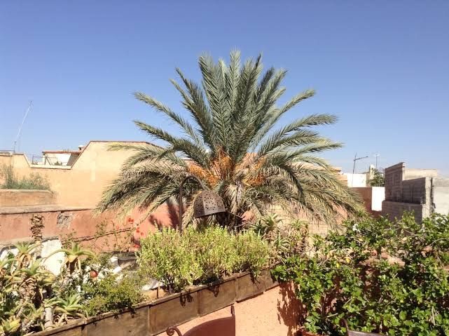 Dar Zemrane - Marrakech - +212 5243-86899