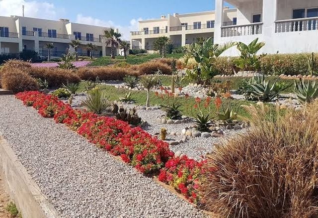 Aglou Paradise -  - +212 661-338070
