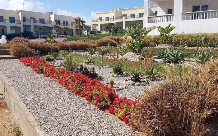 Aglou Paradise -