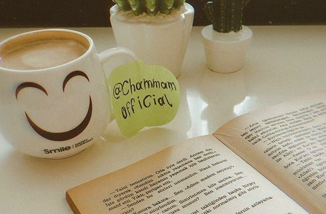 Chammam | شمام - Sidi Slimane - +212 658-279528