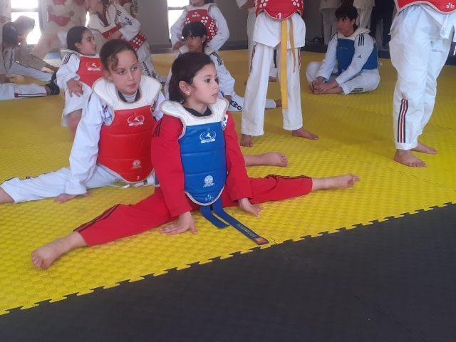 Association Eljohara club de Taekwondo 1 - Agadir - +212 608-326073