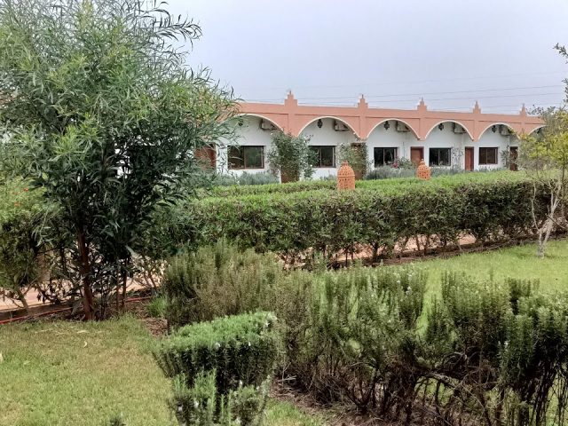 Riad Hamdani - Nouasseur - +212 661-490906