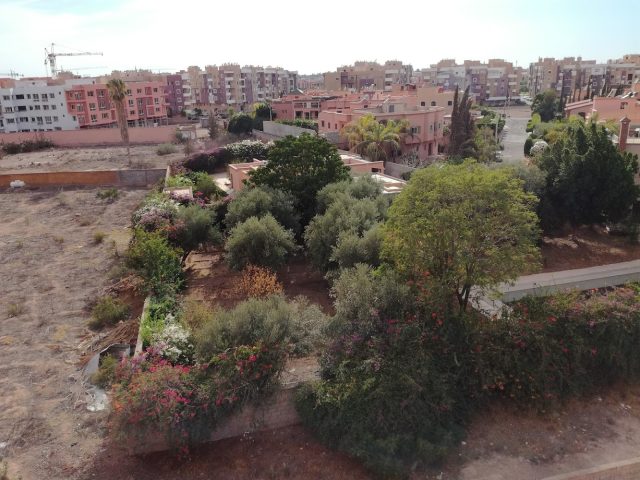 Hammam karam