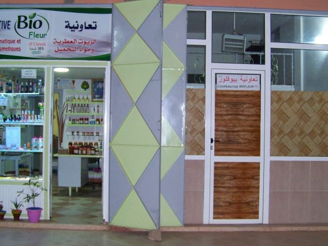 Coopérative Biofleur - Ouled Nemma - +212 667-580864