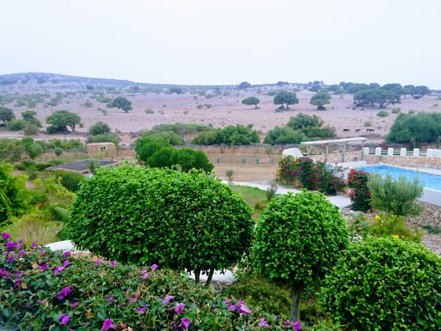 TASGUA YAN - Ctre Commune Tafedna - +212 661-675493