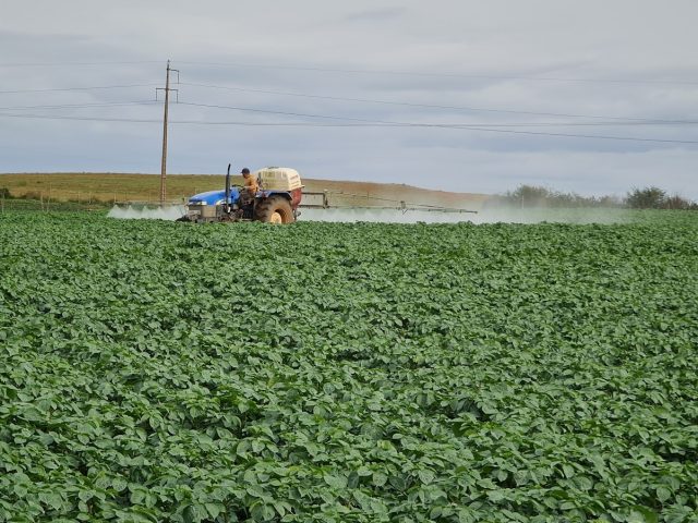 Agrokkab - Laaouamera - +212 618-186617